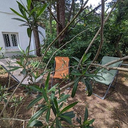 Maison Spacieuse Et Lumineuse 4 Personnes Lavilledieu  Екстер'єр фото