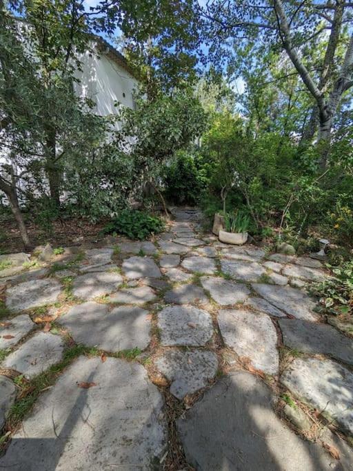 Maison Spacieuse Et Lumineuse 4 Personnes Lavilledieu  Екстер'єр фото