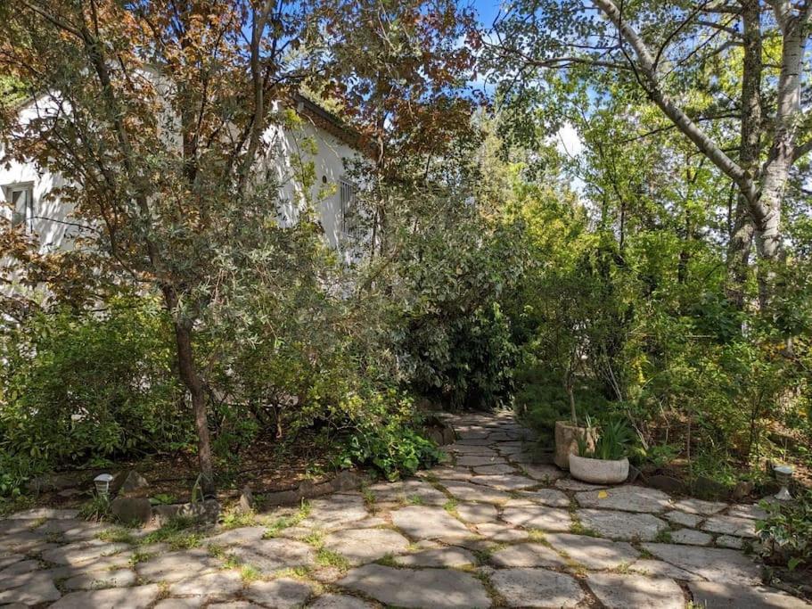 Maison Spacieuse Et Lumineuse 4 Personnes Lavilledieu  Екстер'єр фото