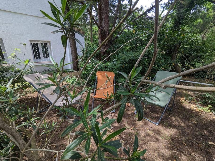Maison Spacieuse Et Lumineuse 4 Personnes Lavilledieu  Екстер'єр фото